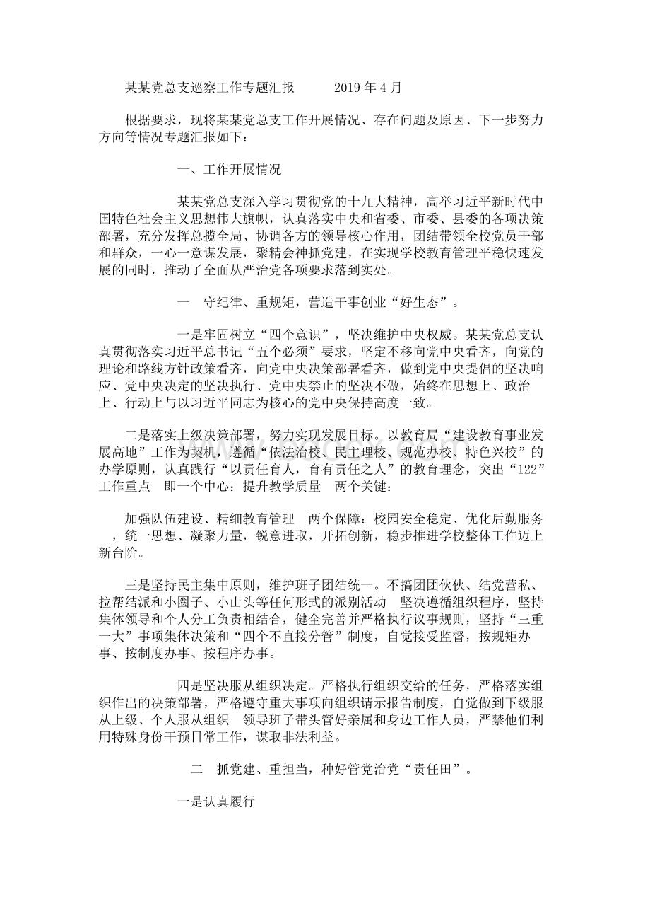 某某党总支巡察工作专题汇报.docx