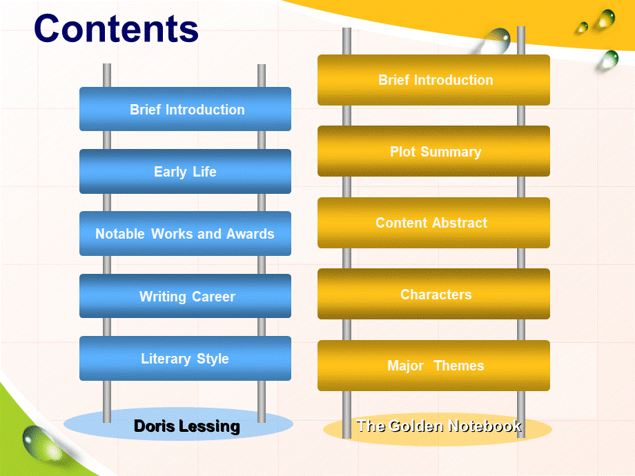 英国文学--作家作品介绍-Doris-Lessing.ppt_第3页