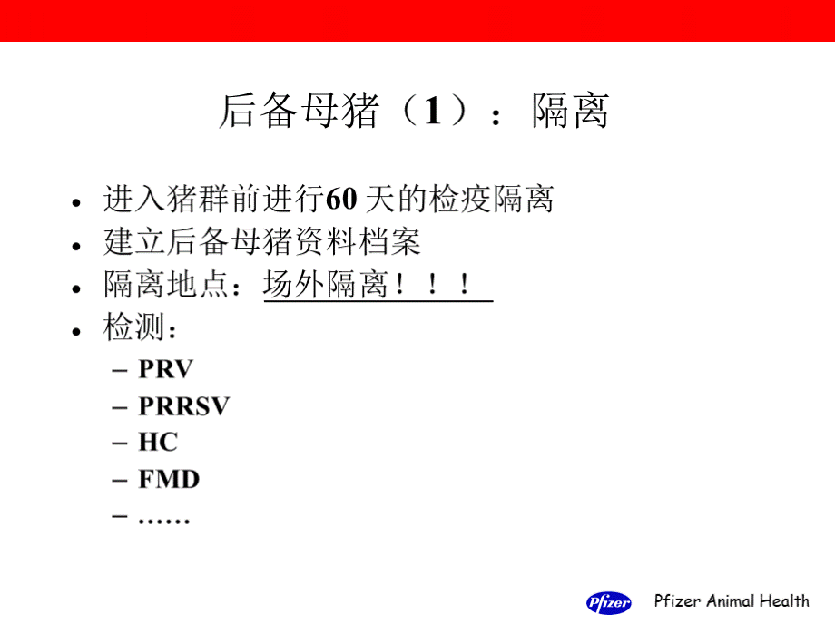 母猪全程保健及免疫.pptx_第3页