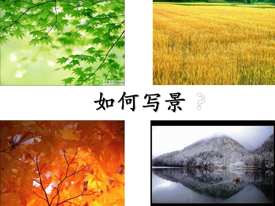 作文教学-写景作文指导.ppt