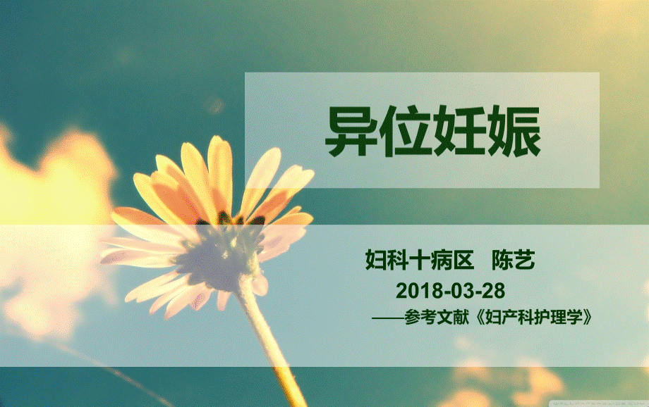 异位妊娠护理查房PPT文档格式.ppt