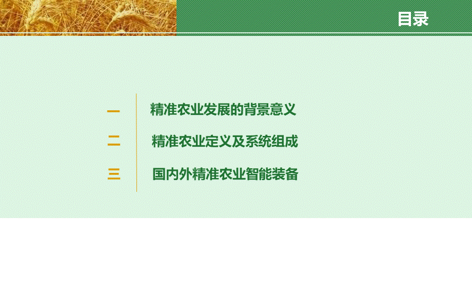 精准农业.ppt_第2页