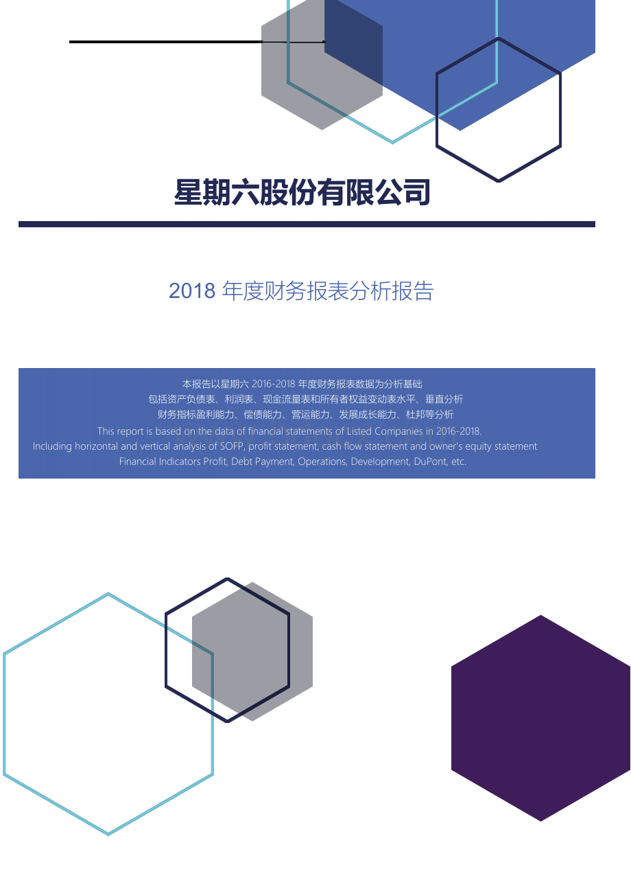 星期六股份有限公司2018年度财务报表分析报告.docx