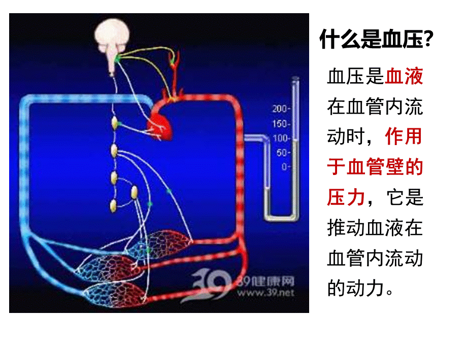 高血压的饮食指导ppt.ppt_第2页