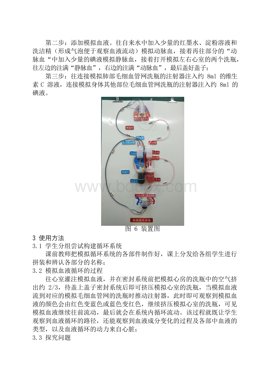 人体血液循环简易模型的制作与使用文档格式.docx_第3页