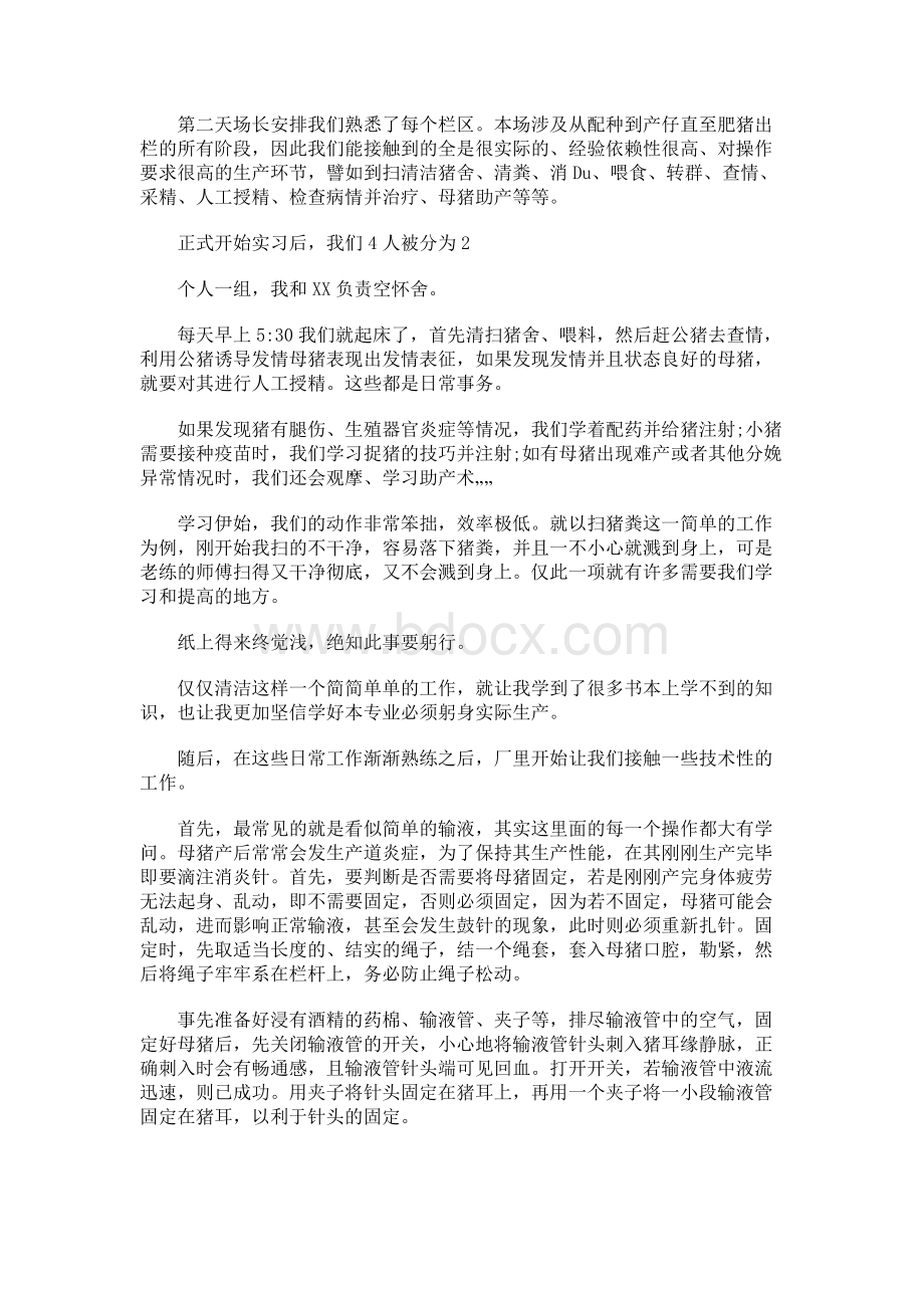 猪场实习心得2000字Word文件下载.docx_第2页