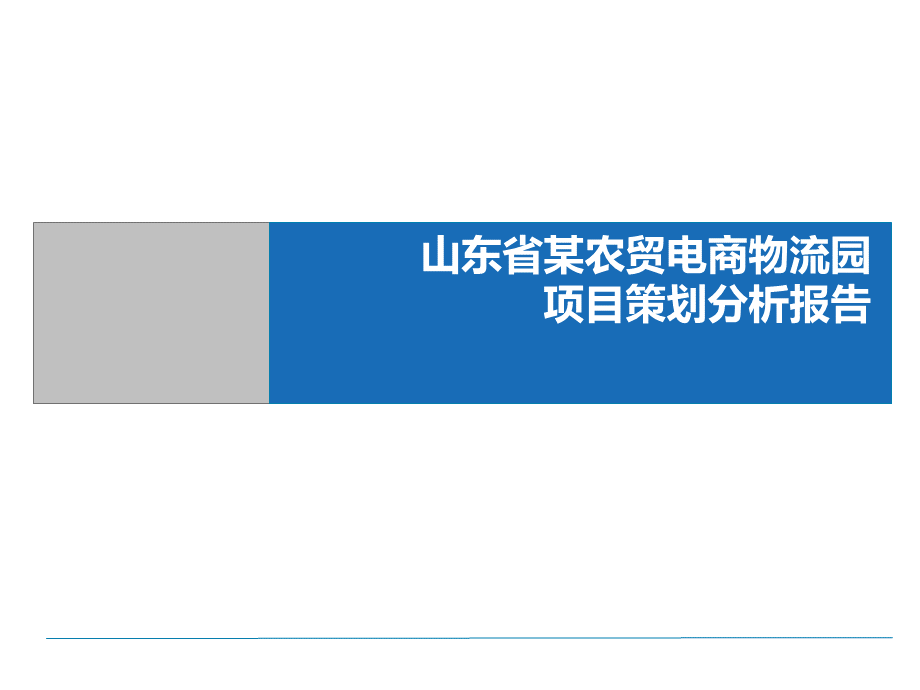 山东省某农贸电商物流园(农产品交易市场)项目策划分析报告.pptx