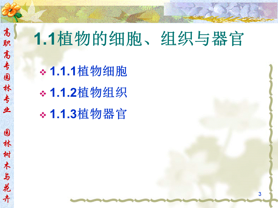 植物学基础知识(精编)PPT资料.ppt_第3页