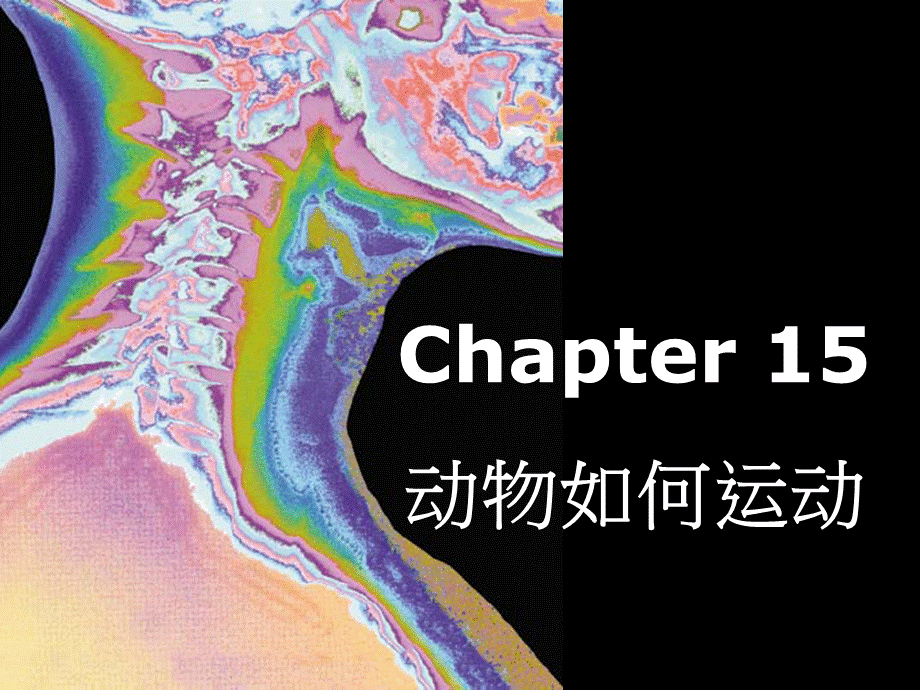 普通生物学-15动物如何运动.ppt