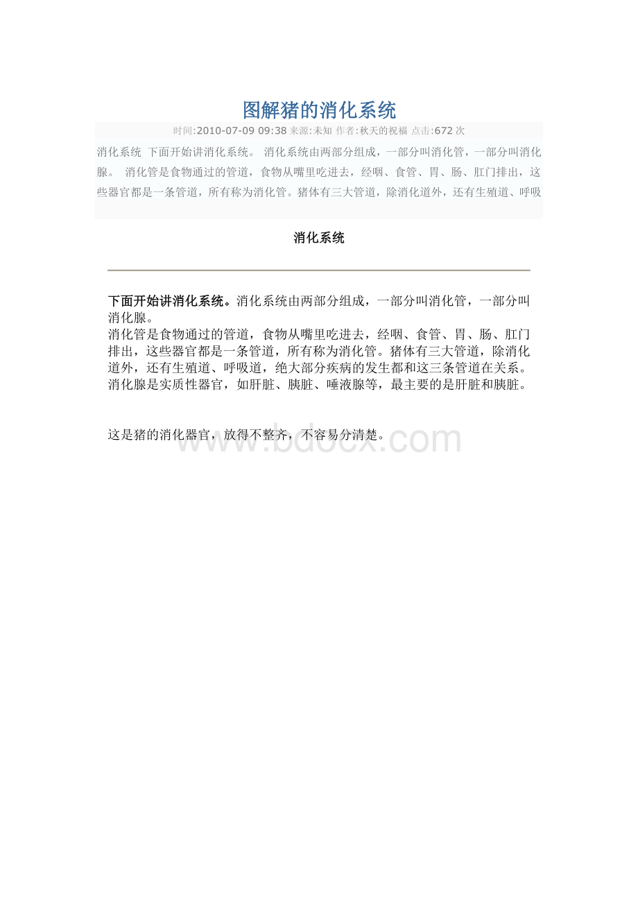 图解猪的消化系统文档格式.docx