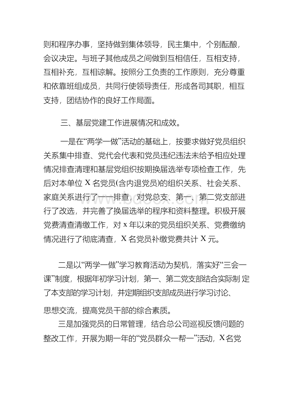 公司2019年党支部书记述职报告文档格式.docx_第3页