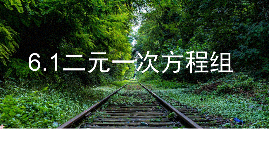 冀教版数学七年级下册6.1《二元一次方程组》教学课件 (共20张)PPT文件格式下载.ppt