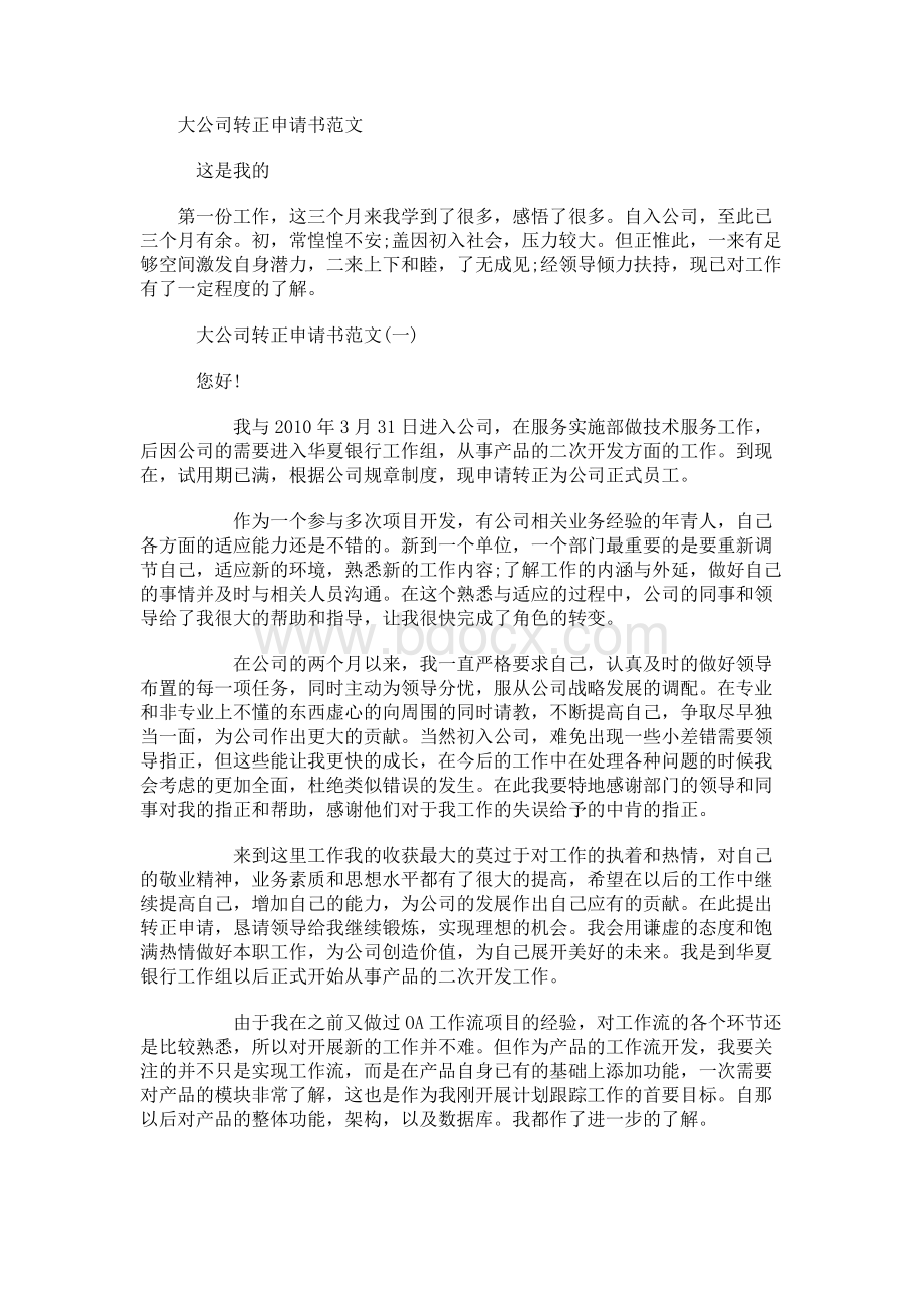 大公司转正申请书范文文档格式.docx