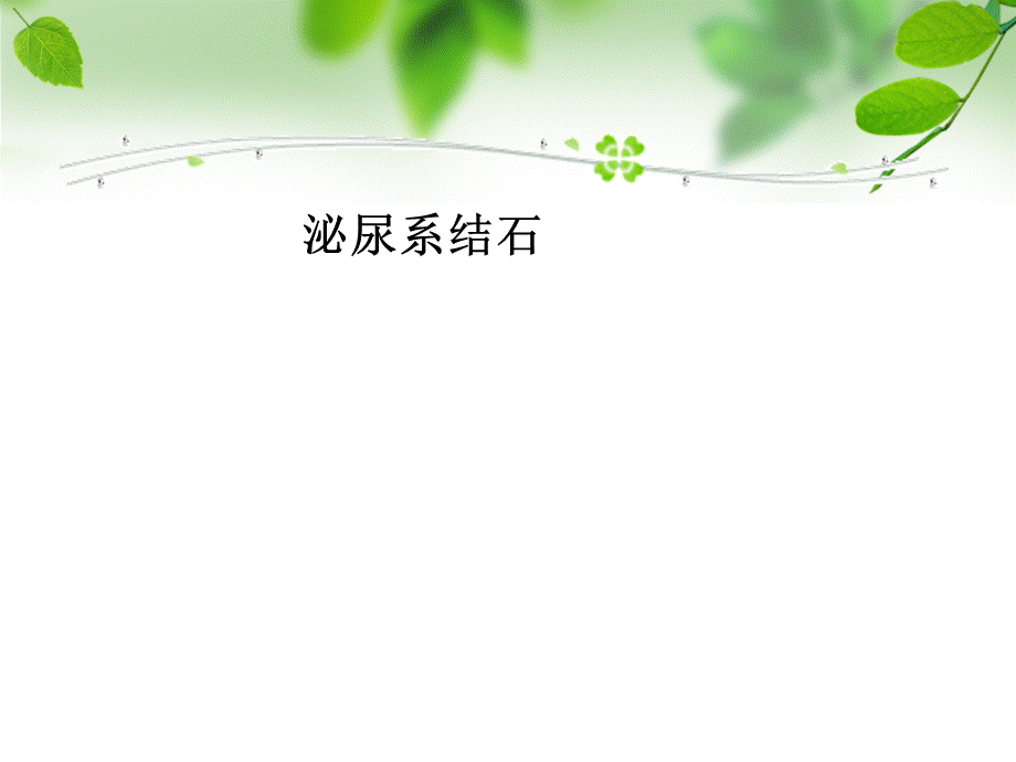 泌尿系结石PPT课件PPT资料.ppt