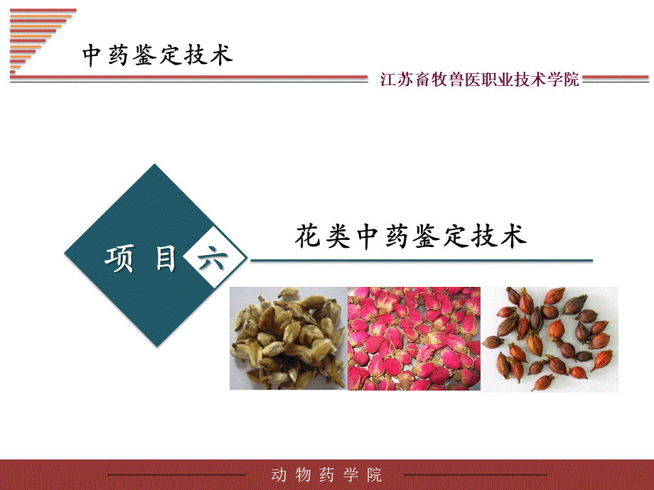 花类中药鉴定技术.ppt_第2页