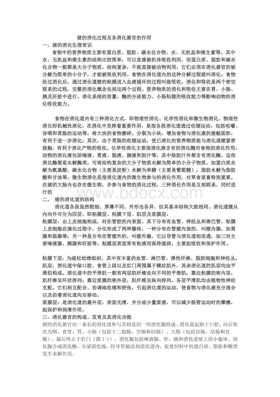 猪的消化过程及各消化器官的作用Word格式文档下载.doc