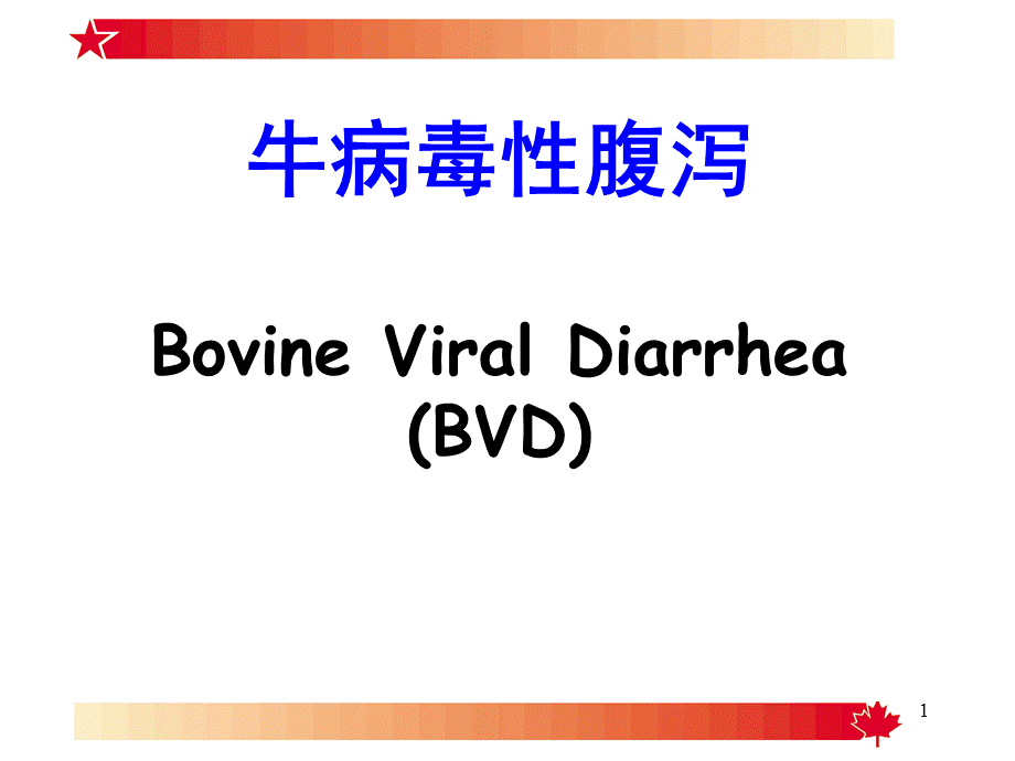 牛病毒性腹泻 (1).ppt_第1页