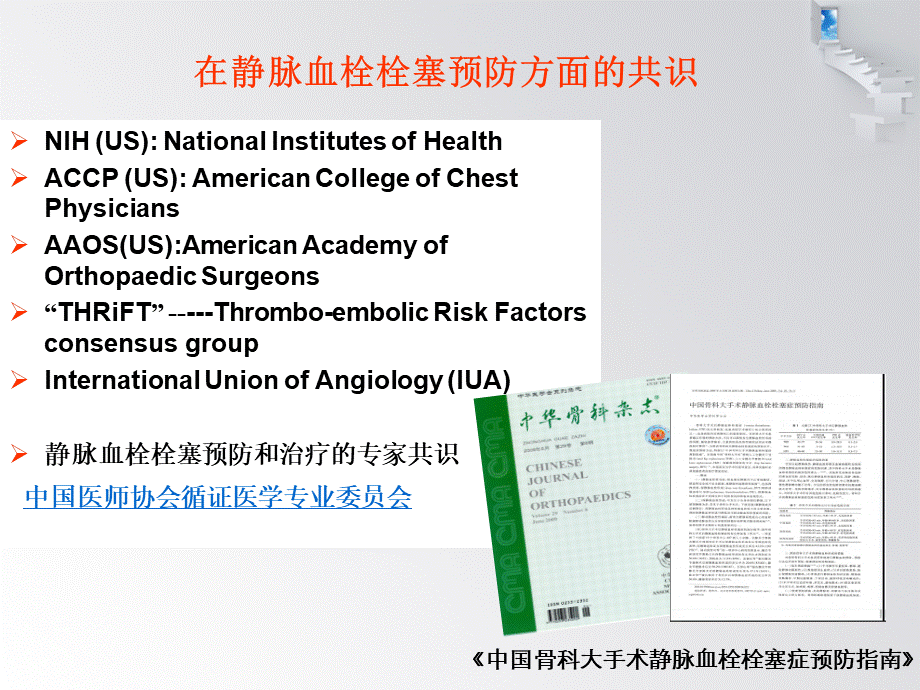 静脉血栓栓塞症风险评估量表的研究进展与临床评价.pptx_第3页