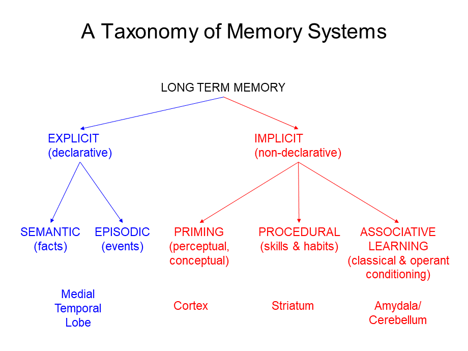 MemoryILongtermmemoryEncoding(PPT-36).ppt_第3页
