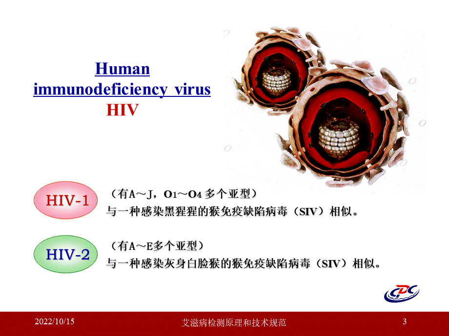 艾滋病检测原理和技术规范课件.ppt_第3页