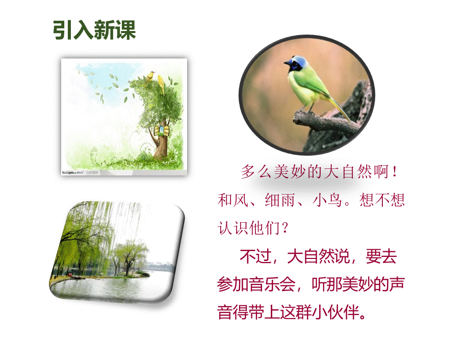 大自然的声音课件.pptPPT格式课件下载.pptx_第3页