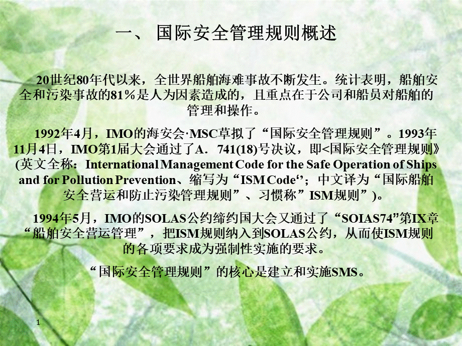 ISM规则理解.ppt