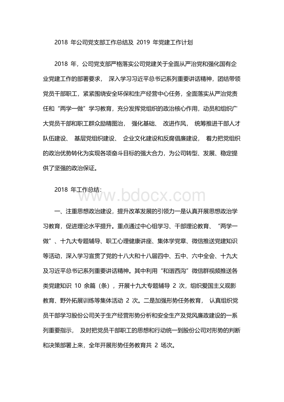 公司党支部工作总结及党建工作计划Word格式文档下载.docx