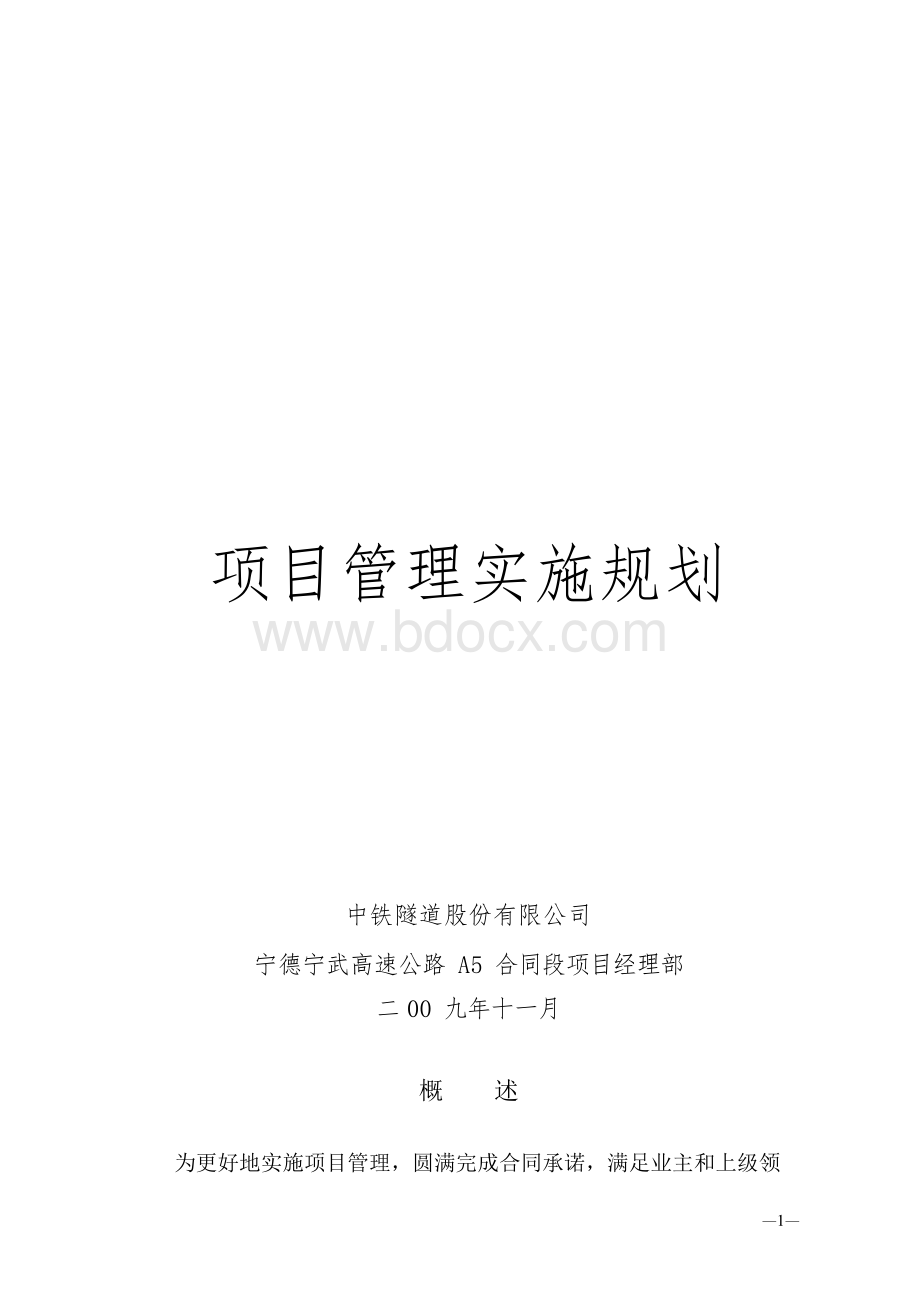 项目管理实施规划(范本)Word格式.docx