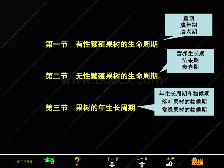 果树的生命周期和年生长周期..ppt_第2页