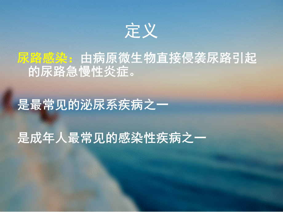 尿路感染的护理优质PPT.pptx_第3页