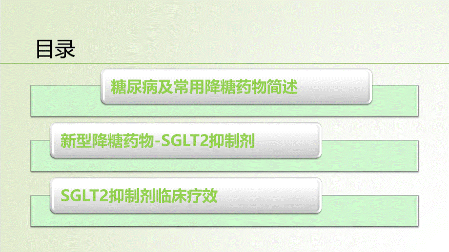 SGLT2抑制剂在糖尿病中的应用.pptx_第2页