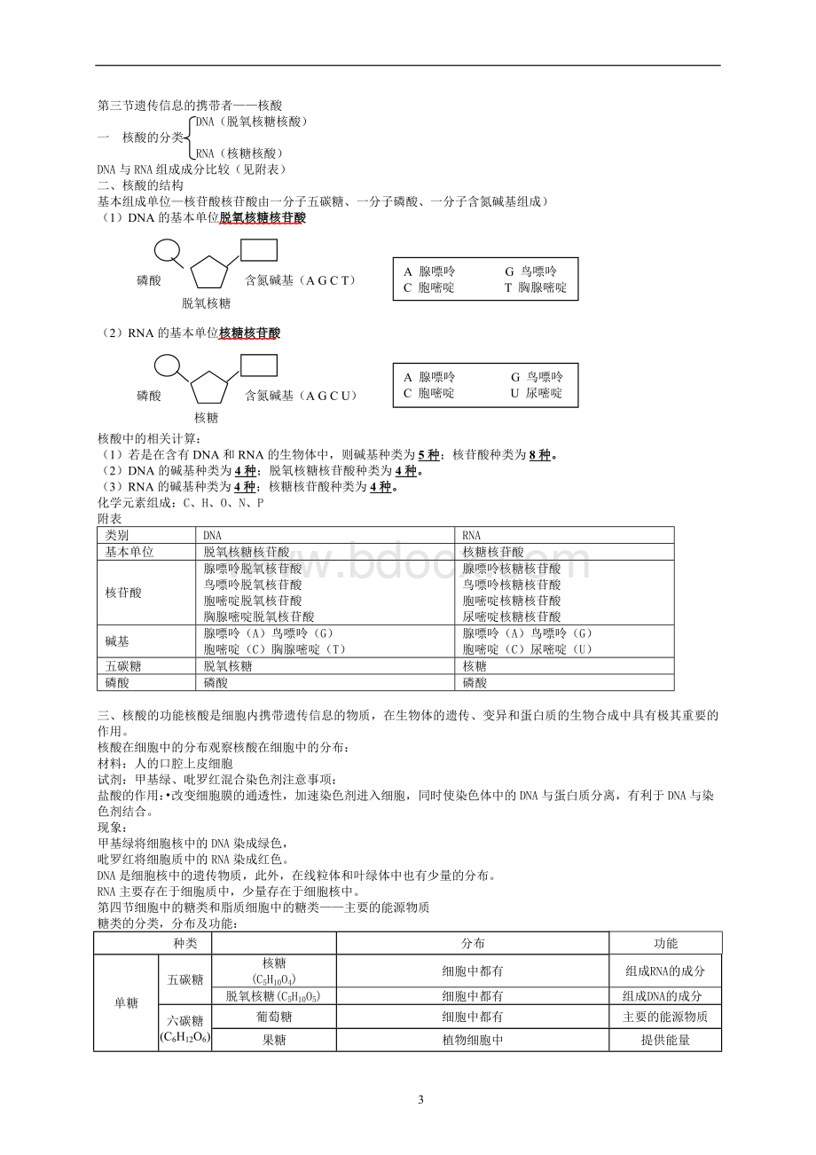 人教版生物必修一的必背知识点Word格式.doc_第3页