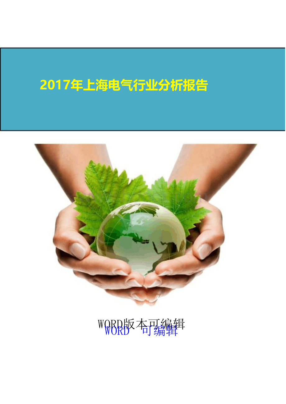 2017年上海电气行业分析报告Word格式文档下载.docx