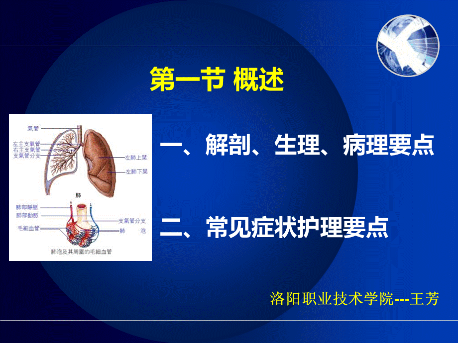 呼吸系统概述PPT课件.ppt_第2页