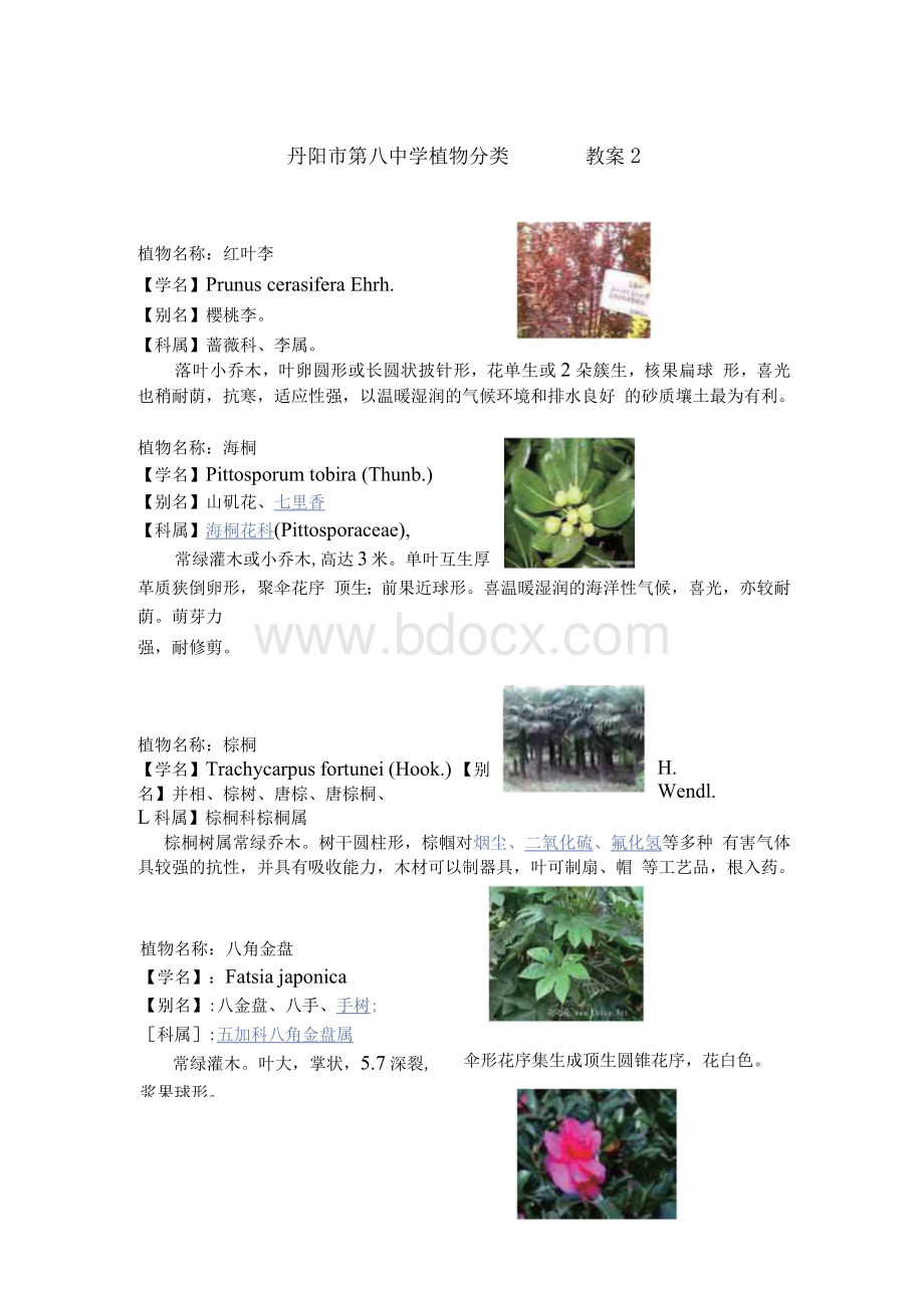 丹阳市第八中学初二生物社团活动教案Word文件下载.docx_第3页