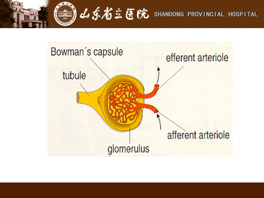 crrt简介及抗凝实施1.ppt_第3页