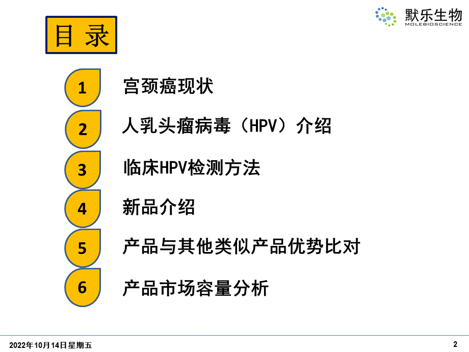 人乳头瘤病毒核酸检测试剂盒产品介绍ppt课件PPT文档格式.pptx_第2页