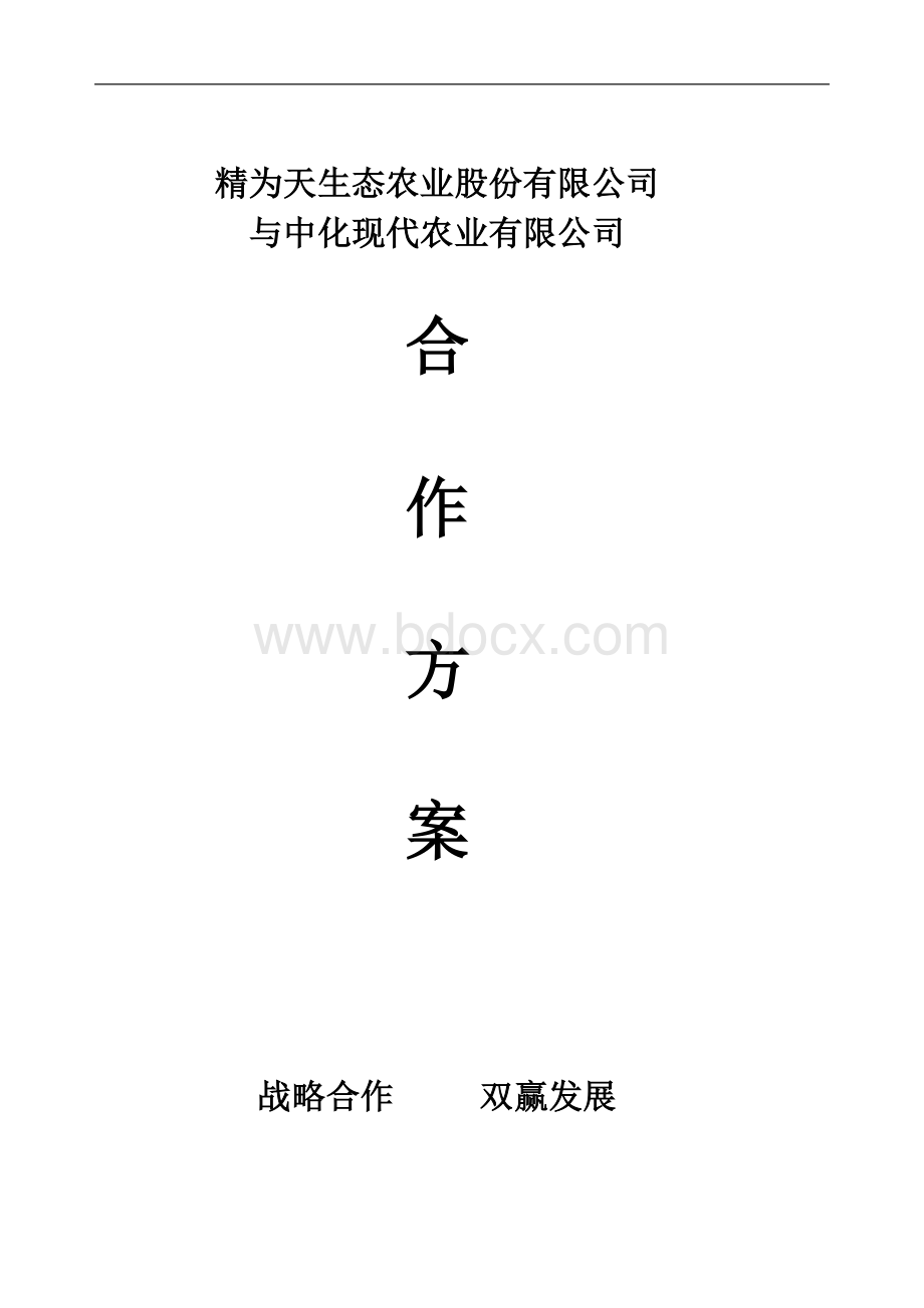 集团合作方案.doc