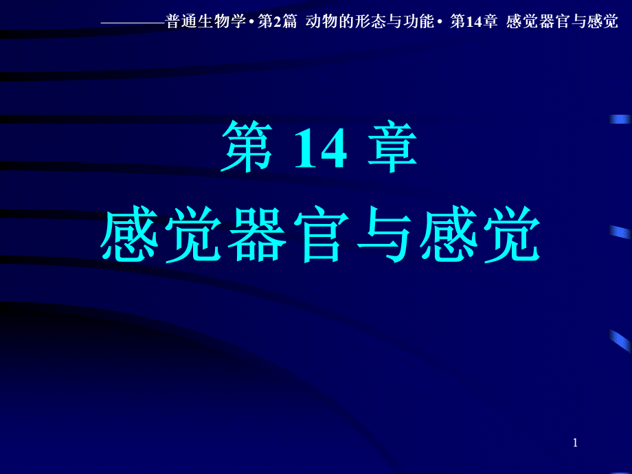 南京大学 普通生物学课件感觉器官与感觉.ppt