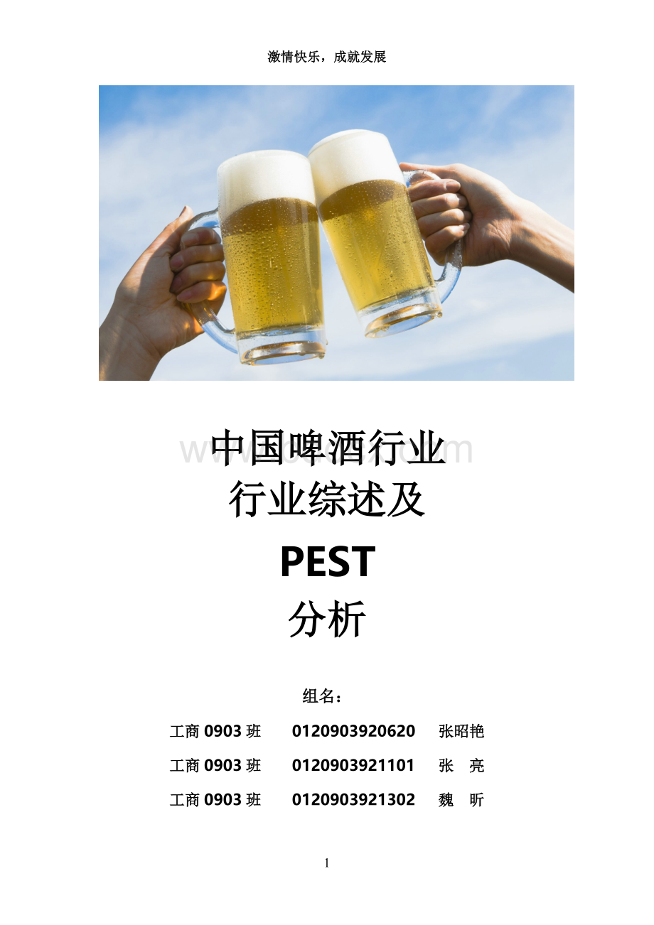 中国啤酒行业PEST分析.doc