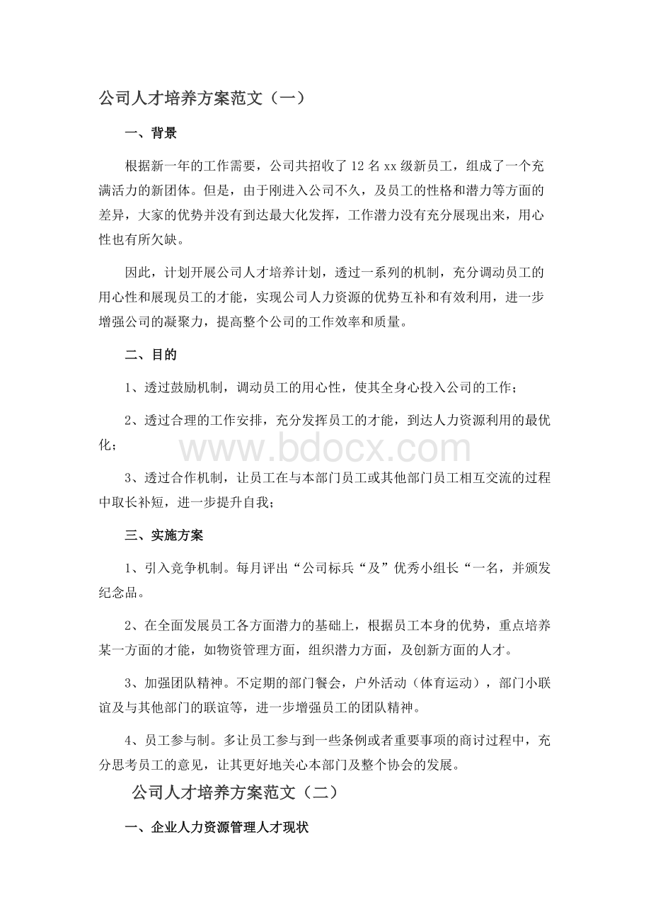 公司人才培养方案范文.docx