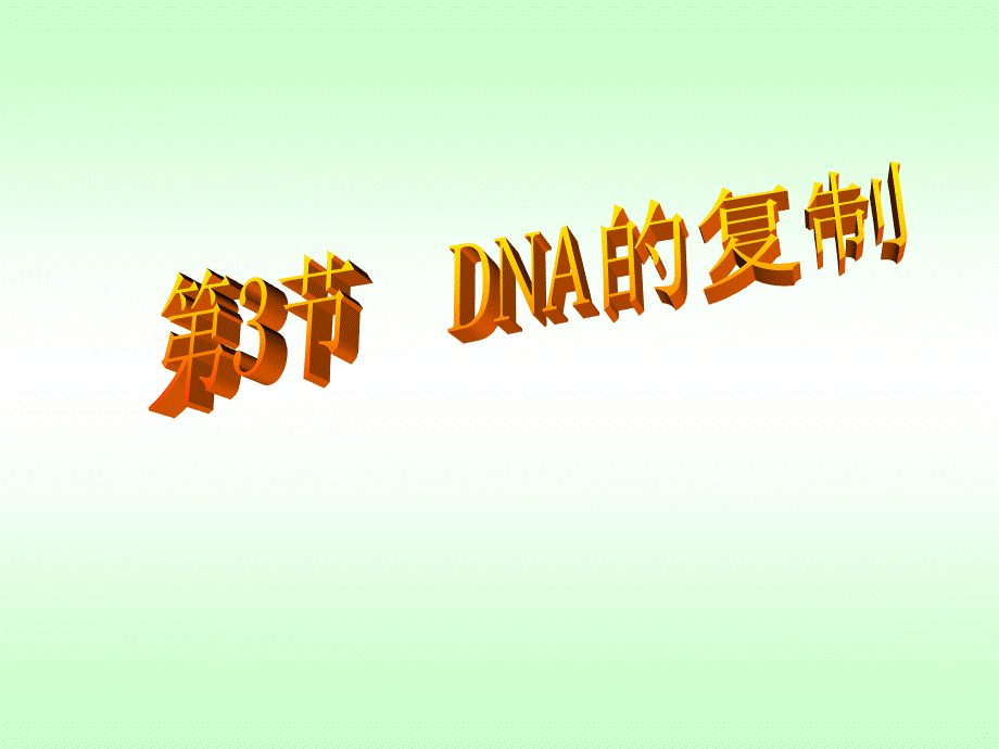 DNA复制-PPT课件.ppt_第1页