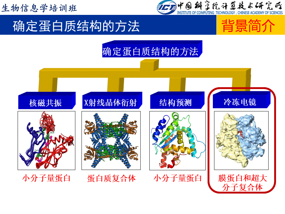 结构生物信息学7-冷冻电镜三维重构优质PPT.ppt_第3页