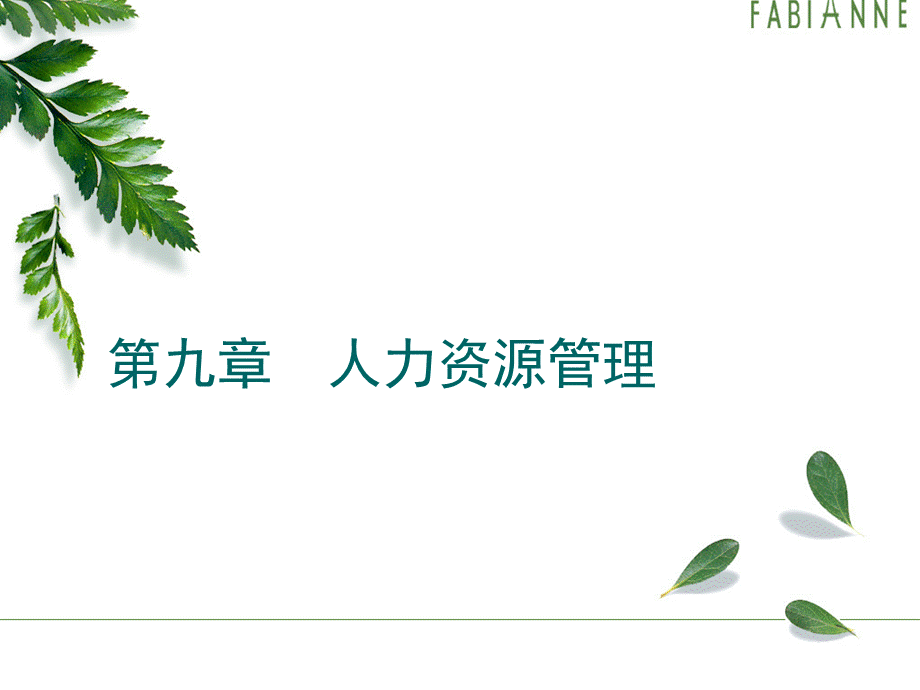 人力资源管理ppt.ppt