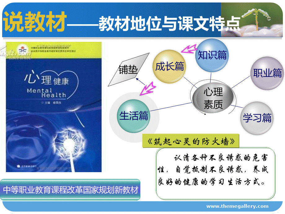 心理学说课筑起心灵的防火墙.ppt_第3页