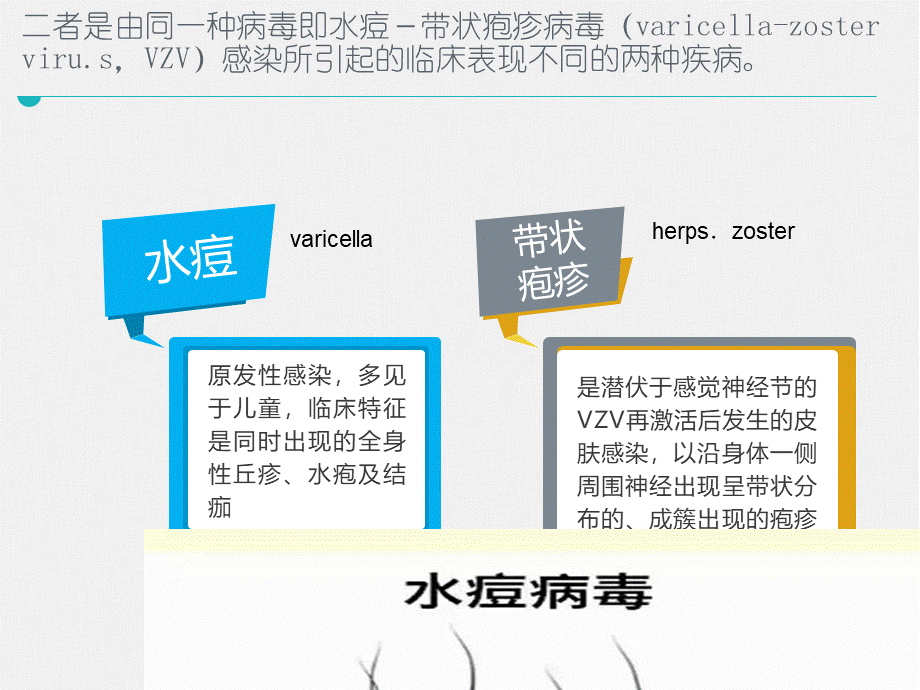 传染病学第八版配套课件水痘和带状疱疹PPT文件格式下载.ppt_第2页