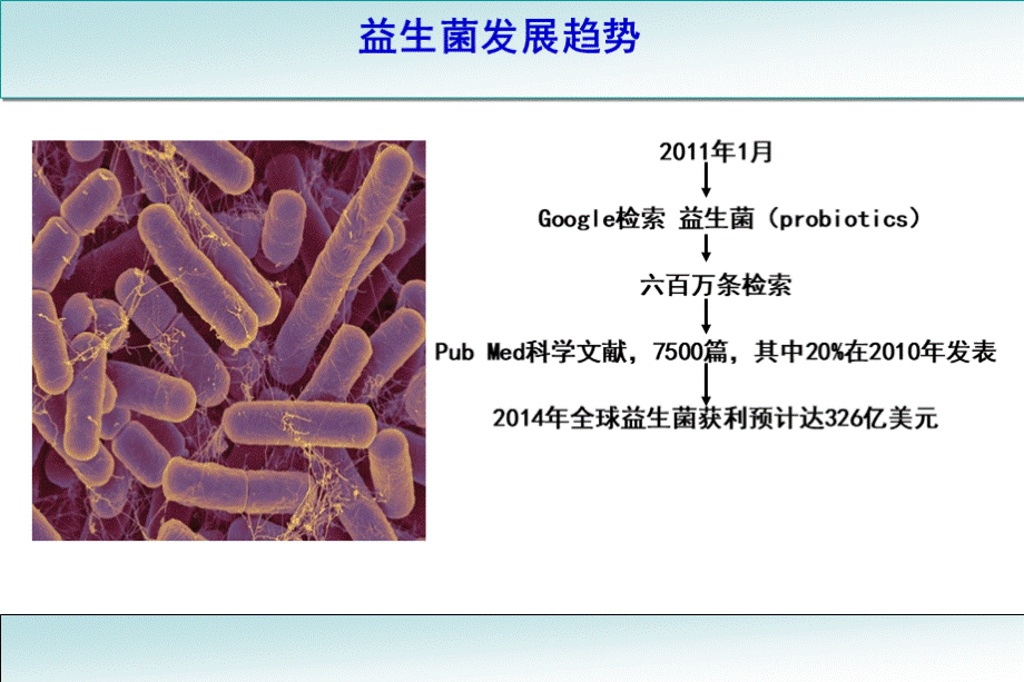 益生菌与肠道健康.ppt_第3页