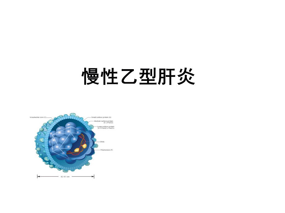 乙型肝炎.ppt