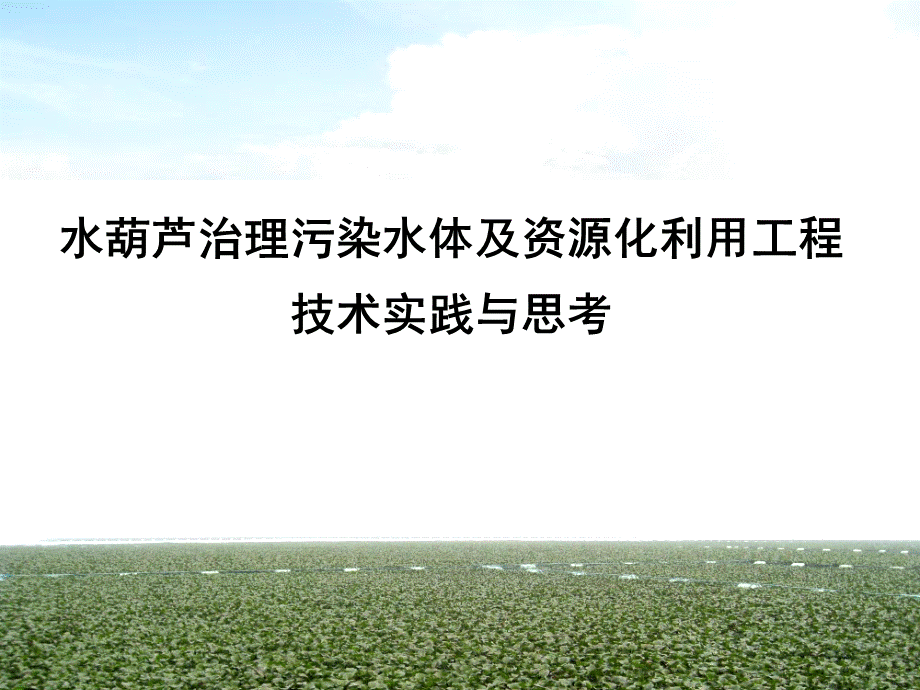 水葫芦治理污染水体及资源化利用工程技术实践与思考PPT文档格式.pptx