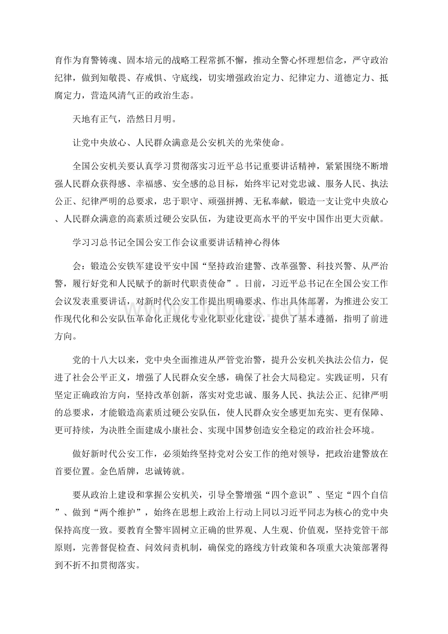 学习习近平全国公安工作会议重要讲话精神心得体会.docx_第2页